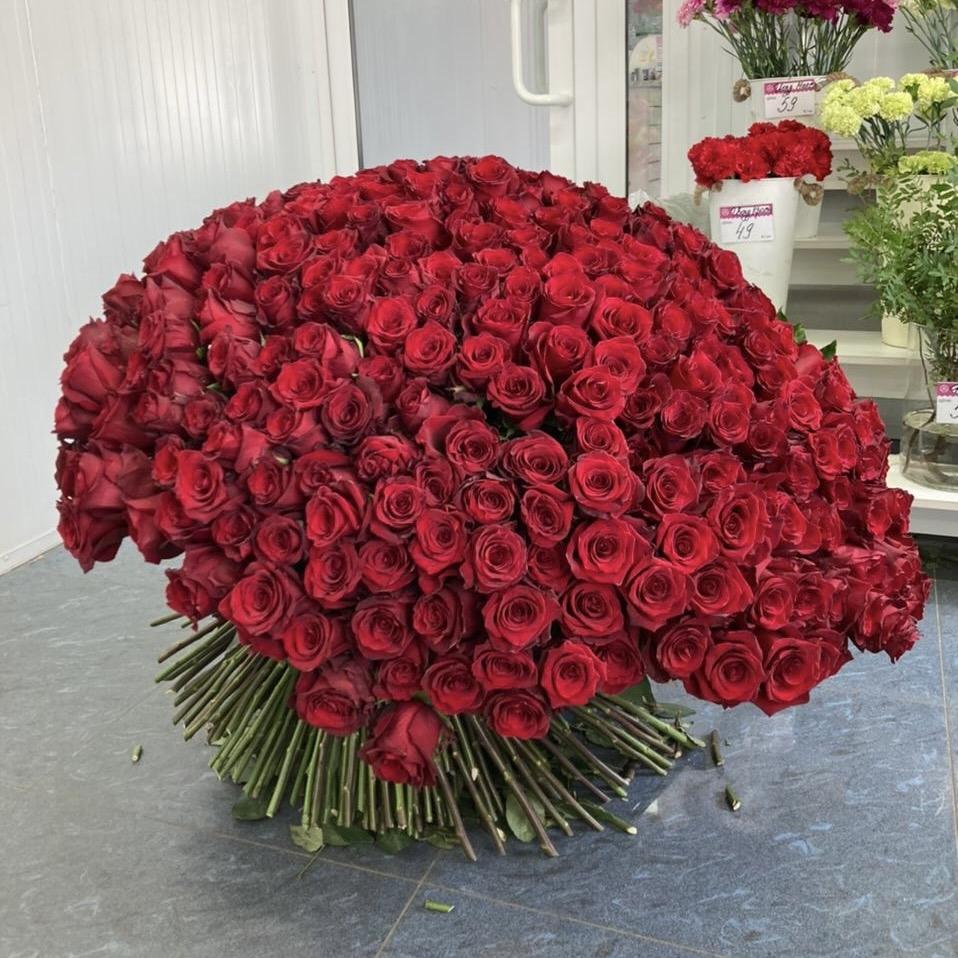 Букеты из красных роз 80 см (Эквадор) № - 10908