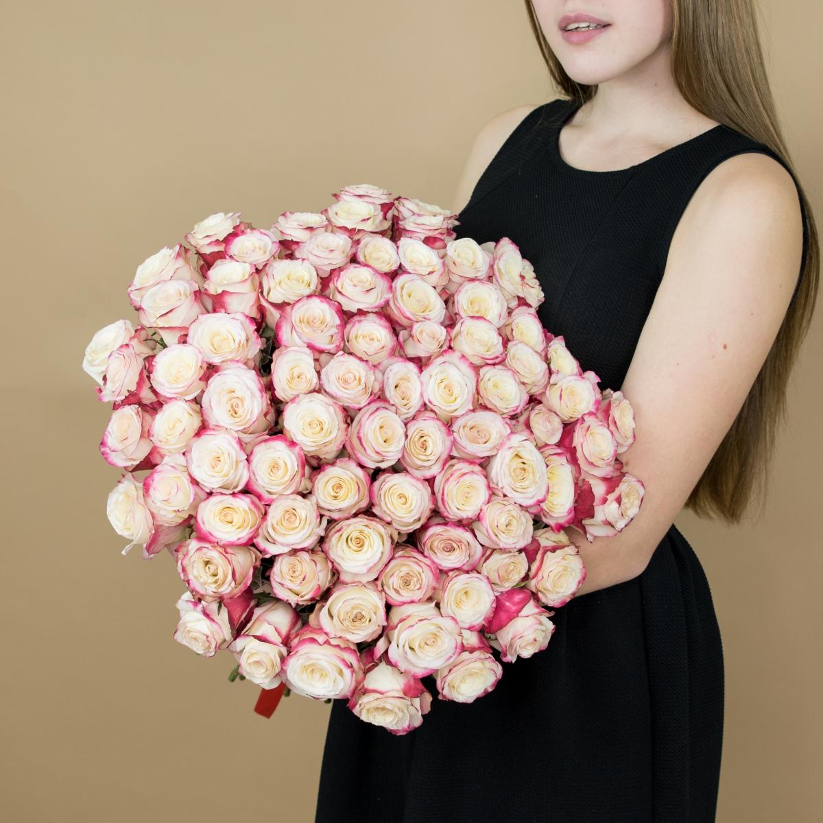 Розы красно-белые 101 шт. (40 см) №  4806