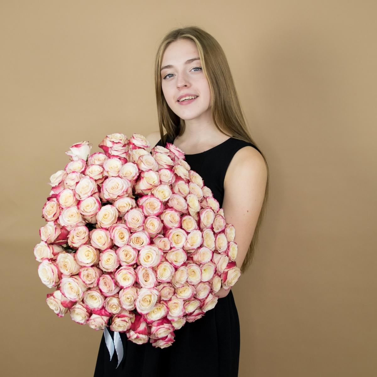 Розы красно-белые 101 шт. (40 см) №  4806
