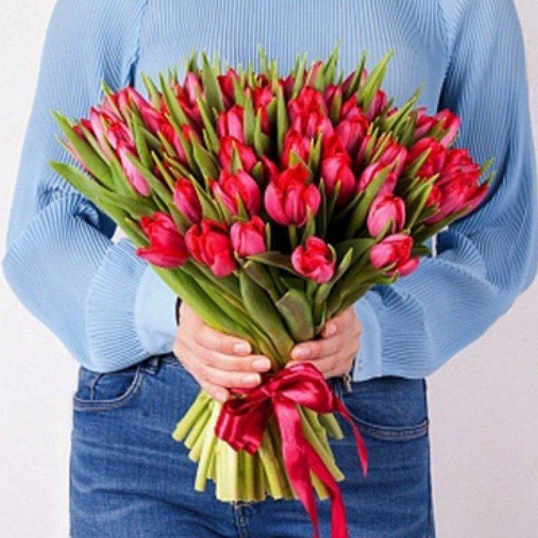 Тюльпаны красные 51 шт (№   7839)